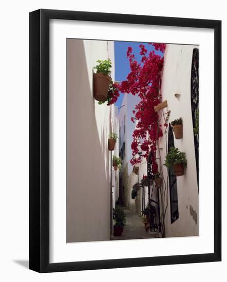 Bougainvillea in a Narrow Whitewashed Street in Upper Village, Mojacar, Almeria, Andalucia, Spain-Tomlinson Ruth-Framed Photographic Print