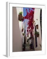 Bougainvillea in a Narrow Whitewashed Street in Upper Village, Mojacar, Almeria, Andalucia, Spain-Tomlinson Ruth-Framed Photographic Print