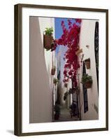 Bougainvillea in a Narrow Whitewashed Street in Upper Village, Mojacar, Almeria, Andalucia, Spain-Tomlinson Ruth-Framed Photographic Print