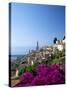 Bougainvillea in Flower, Menton, Alpes-Maritimtes, Cote d'Azur, Provence, French Riviera, France-Ruth Tomlinson-Stretched Canvas