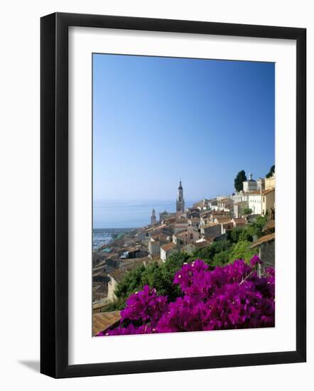 Bougainvillea in Flower, Menton, Alpes-Maritimtes, Cote d'Azur, Provence, French Riviera, France-Ruth Tomlinson-Framed Photographic Print