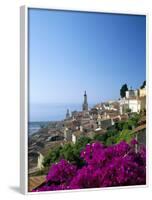 Bougainvillea in Flower, Menton, Alpes-Maritimtes, Cote d'Azur, Provence, French Riviera, France-Ruth Tomlinson-Framed Photographic Print