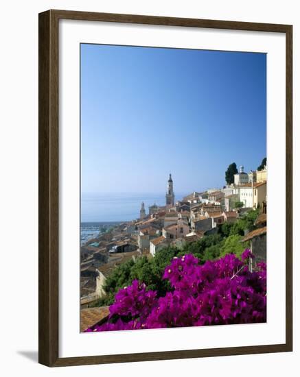 Bougainvillea in Flower, Menton, Alpes-Maritimtes, Cote d'Azur, Provence, French Riviera, France-Ruth Tomlinson-Framed Photographic Print