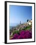 Bougainvillea in Flower, Menton, Alpes-Maritimtes, Cote d'Azur, Provence, French Riviera, France-Ruth Tomlinson-Framed Photographic Print