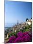 Bougainvillea in Flower, Menton, Alpes-Maritimtes, Cote d'Azur, Provence, French Riviera, France-Ruth Tomlinson-Mounted Photographic Print