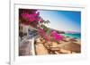 Bougainvillea & Mediterranean-null-Framed Art Print