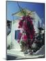 Bougainvillea on a White House on the Island of Spetse, Greek Islands, Greece, Europe-Lee Frost-Mounted Photographic Print