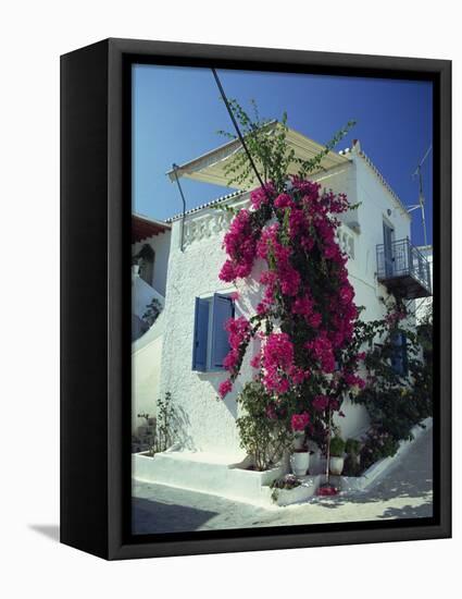 Bougainvillea on a White House on the Island of Spetse, Greek Islands, Greece, Europe-Lee Frost-Framed Stretched Canvas