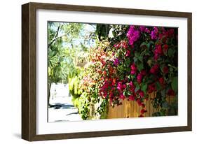 Bougainvillea on the Wall-Steve Ash-Framed Photographic Print