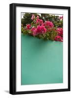 Bougainvillea, Tropical Flowers, Roatan, Honduras-Lisa S. Engelbrecht-Framed Photographic Print