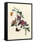 Bougainvillea-null-Framed Stretched Canvas