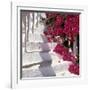 Bougainvilleas-null-Framed Photographic Print