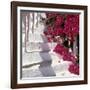 Bougainvilleas-null-Framed Photographic Print