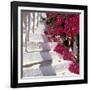 Bougainvilleas-null-Framed Photographic Print