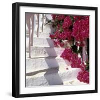 Bougainvilleas-null-Framed Photographic Print