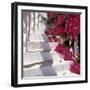 Bougainvilleas-null-Framed Photographic Print