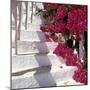Bougainvilleas-null-Mounted Photographic Print
