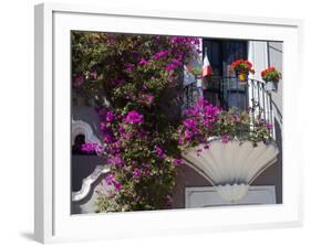 Bouganvilla Blooming, San Miguel De Allende, Guanajuato State, Mexico-Julie Eggers-Framed Photographic Print