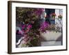 Bouganvilla Blooming, San Miguel De Allende, Guanajuato State, Mexico-Julie Eggers-Framed Photographic Print