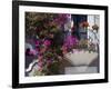 Bouganvilla Blooming, San Miguel De Allende, Guanajuato State, Mexico-Julie Eggers-Framed Photographic Print