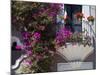 Bouganvilla Blooming, San Miguel De Allende, Guanajuato State, Mexico-Julie Eggers-Mounted Photographic Print