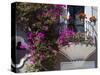 Bouganvilla Blooming, San Miguel De Allende, Guanajuato State, Mexico-Julie Eggers-Stretched Canvas