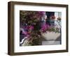 Bouganvilla Blooming, San Miguel De Allende, Guanajuato State, Mexico-Julie Eggers-Framed Photographic Print