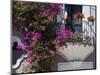 Bouganvilla Blooming, San Miguel De Allende, Guanajuato State, Mexico-Julie Eggers-Mounted Photographic Print