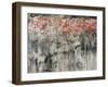 Bouganvilla-Jodi Maas-Framed Giclee Print