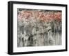 Bouganvilla-Jodi Maas-Framed Giclee Print