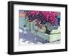 Bouganvillaea, Zante, 1999-Andrew Macara-Framed Giclee Print