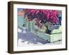 Bouganvillaea, Zante, 1999-Andrew Macara-Framed Giclee Print