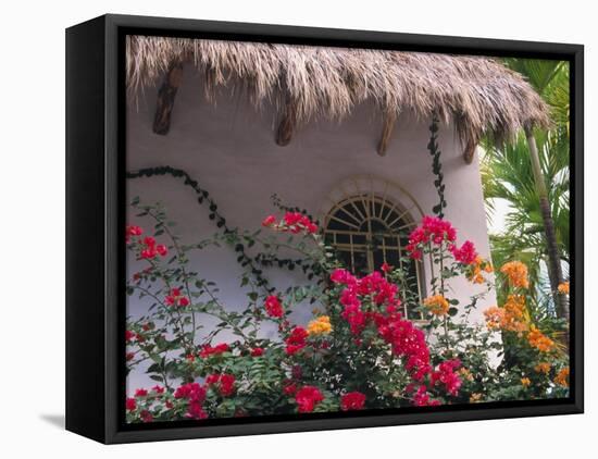 Bougenvilla Blooms Underneath a Thatch Roof, Puerto Vallarta, Mexico-Merrill Images-Framed Stretched Canvas