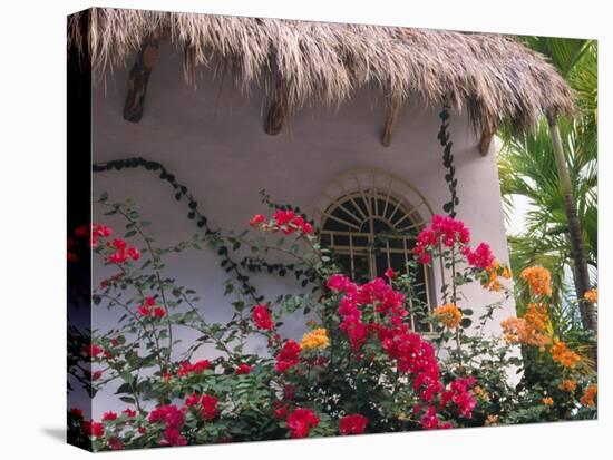 Bougenvilla Blooms Underneath a Thatch Roof, Puerto Vallarta, Mexico-Merrill Images-Stretched Canvas