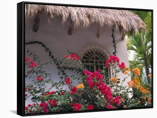 Bougenvilla Blooms Underneath a Thatch Roof, Puerto Vallarta, Mexico-Merrill Images-Framed Stretched Canvas