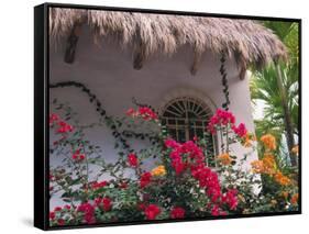 Bougenvilla Blooms Underneath a Thatch Roof, Puerto Vallarta, Mexico-Merrill Images-Framed Stretched Canvas