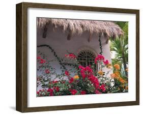 Bougenvilla Blooms Underneath a Thatch Roof, Puerto Vallarta, Mexico-Merrill Images-Framed Premium Photographic Print
