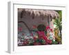 Bougenvilla Blooms Underneath a Thatch Roof, Puerto Vallarta, Mexico-Merrill Images-Framed Premium Photographic Print