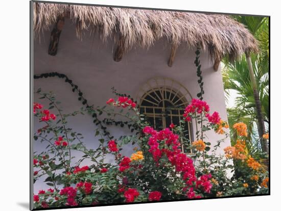 Bougenvilla Blooms Underneath a Thatch Roof, Puerto Vallarta, Mexico-Merrill Images-Mounted Premium Photographic Print