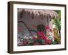 Bougenvilla Blooms Underneath a Thatch Roof, Puerto Vallarta, Mexico-Merrill Images-Framed Photographic Print