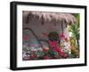 Bougenvilla Blooms Underneath a Thatch Roof, Puerto Vallarta, Mexico-Merrill Images-Framed Photographic Print