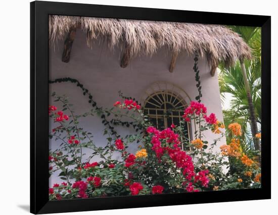 Bougenvilla Blooms Underneath a Thatch Roof, Puerto Vallarta, Mexico-Merrill Images-Framed Photographic Print