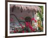 Bougenvilla Blooms Underneath a Thatch Roof, Puerto Vallarta, Mexico-Merrill Images-Framed Photographic Print