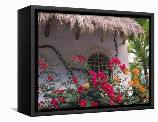 Bougenvilla Blooms Underneath a Thatch Roof, Puerto Vallarta, Mexico-Merrill Images-Framed Stretched Canvas