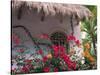 Bougenvilla Blooms Underneath a Thatch Roof, Puerto Vallarta, Mexico-Merrill Images-Stretched Canvas