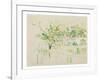 Bougival, 1884 (W/C & Pencil on Paper)-Berthe Morisot-Framed Giclee Print