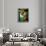 Bouillon OXO-null-Giclee Print displayed on a wall