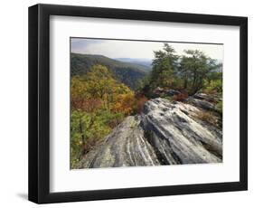 Boulder and Autumn Colors, Pine Mountain State Park, Kentucky, USA-Adam Jones-Framed Photographic Print
