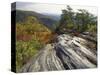 Boulder and Autumn Colors, Pine Mountain State Park, Kentucky, USA-Adam Jones-Stretched Canvas