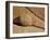 Boulder and Cracks, Joshua Tree National Park, California, United States of America, North America-James Hager-Framed Photographic Print